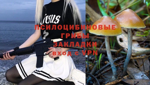 прущие крисы Абаза