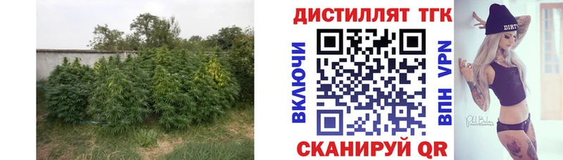 даркнет сайт  Алексин  ТГК THC oil 